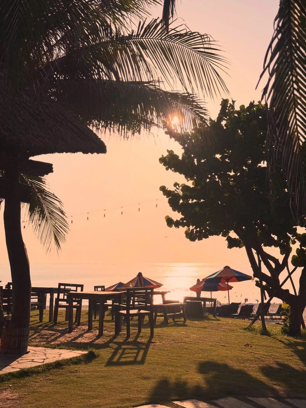 Wooden tables under palms and bright umbrellas, the sea glowing behind
